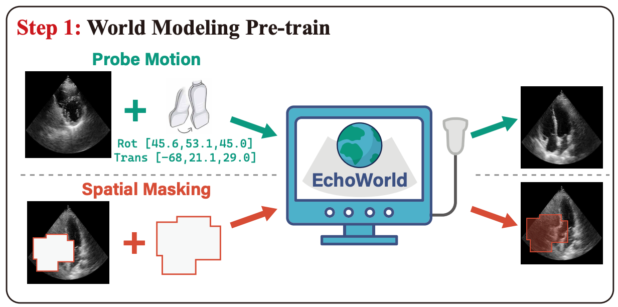 EchoWorld: Learning Motion-Aware World Models for Echocardiography Probe Guidance
