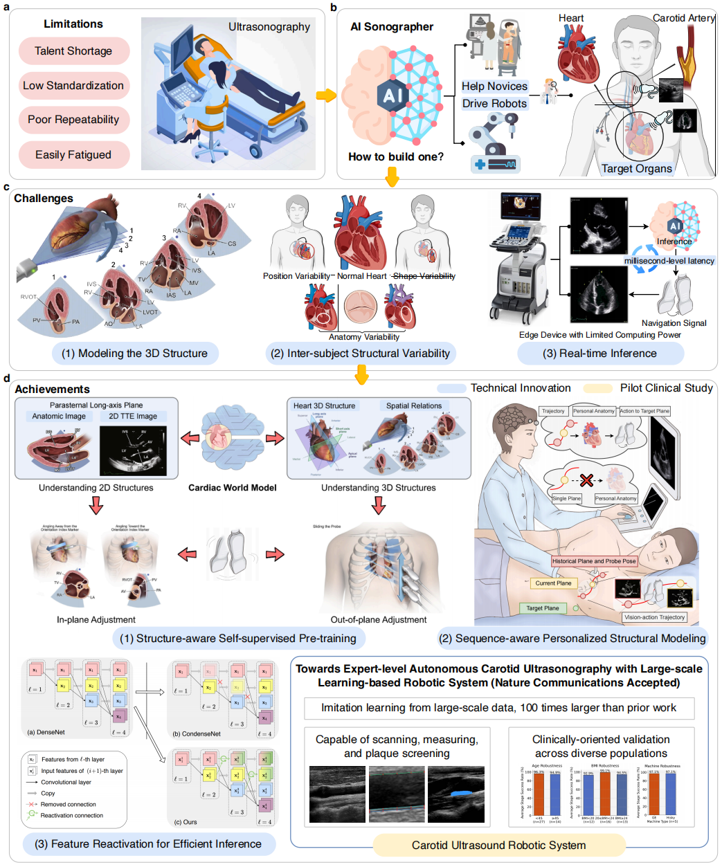 Towards AI-guided Cardiovascular Ultrasonography with Large-scale Implicit Structural Learning