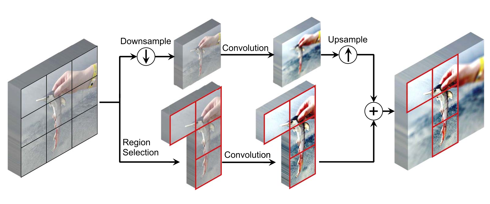 Spatially Adaptive Feature Refinement for Efficient Inference