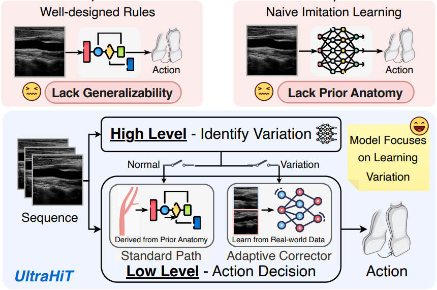 UltraHiT: A Hierarchical Transformer Architecture for Generalizable Internal Carotid Artery Robotic Ultrasonography
